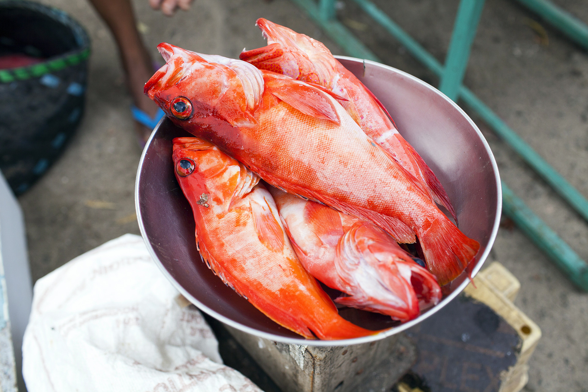 石斑魚怎么做給寶寶吃